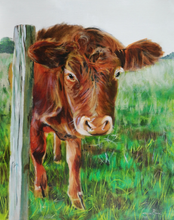Load image into Gallery viewer, Brown Cow – Original Aberdeenshire Calf Oil Painting