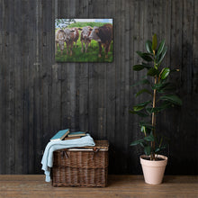 Load image into Gallery viewer, Four cows Canvas print