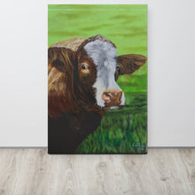 Load image into Gallery viewer, Cow Canvas print