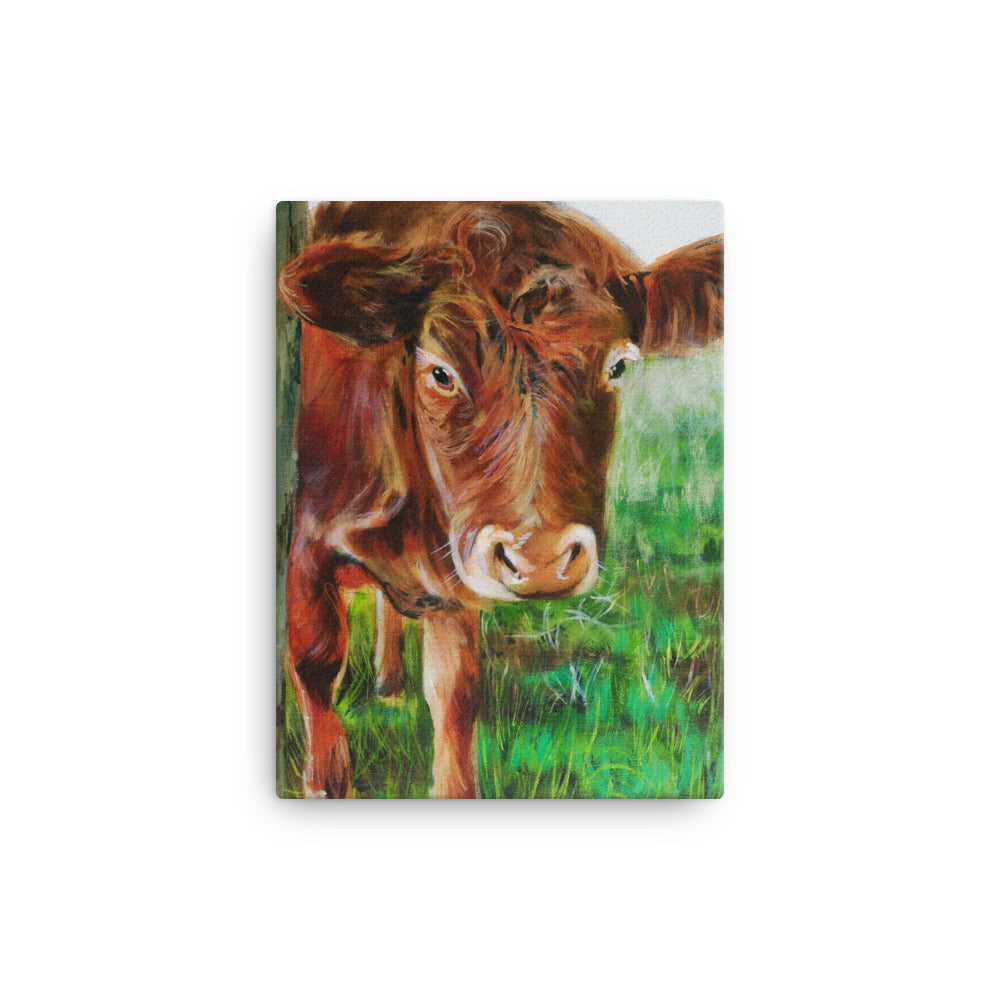 Cow Canvas, Cow print, taken from original painting
