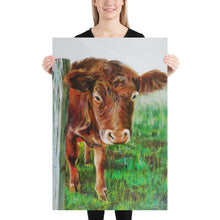 Load image into Gallery viewer, Cow print, taken from original painting