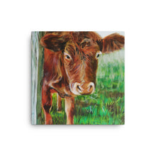 Load image into Gallery viewer, Cow Canvas, Cow print, taken from original painting