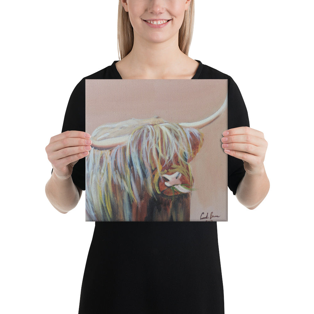 Highland cow Canvas print, ready to hang canvas