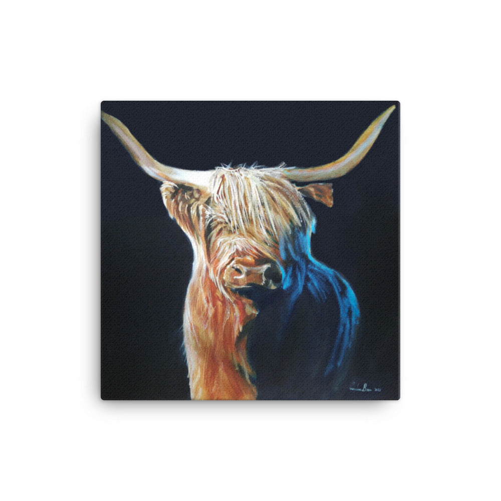 Highland cow Canvas print