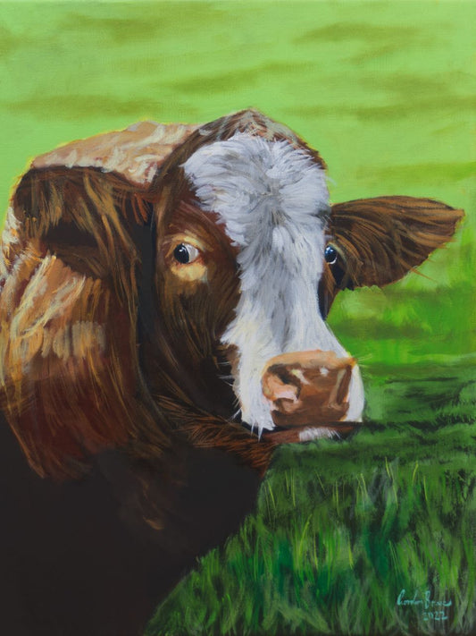 Cow face - original painting