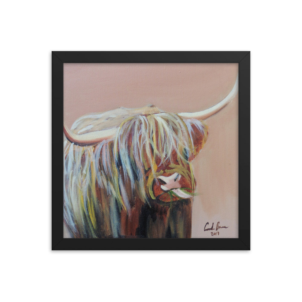 Highland cow Framed poster