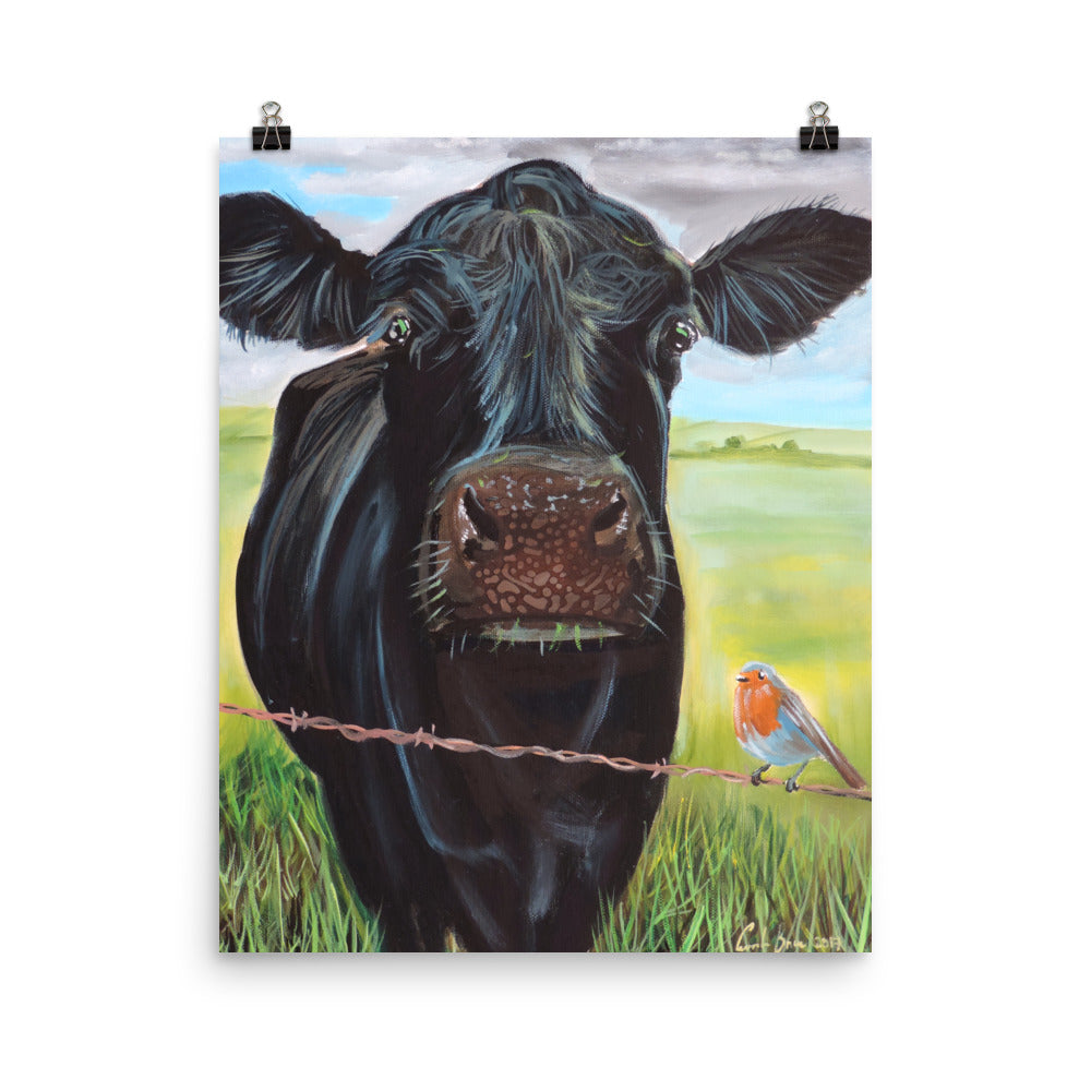 Cow and a robin Poster