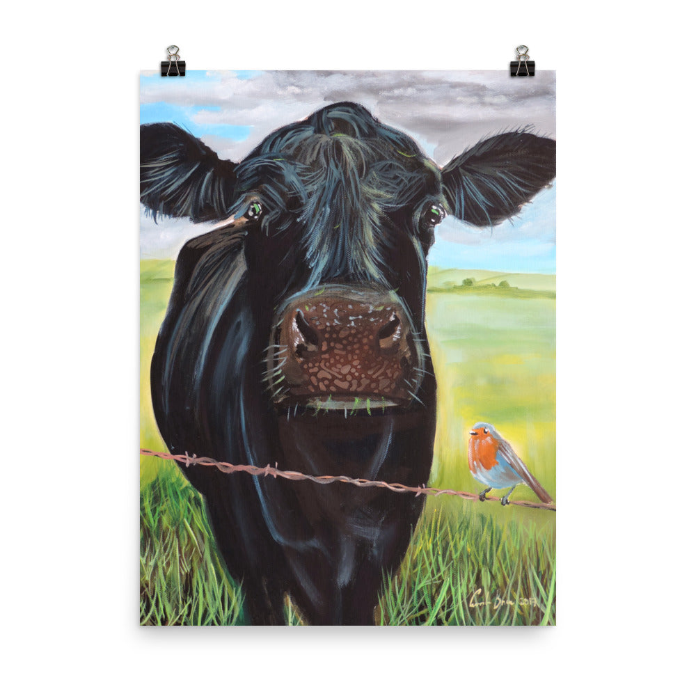 Cow and a robin Poster