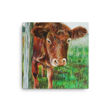 Load image into Gallery viewer, Cow Canvas, Cow print, taken from original painting
